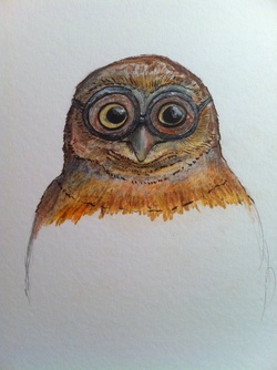The Adventures of Orville the Burrowing Owl - MICHAEL PROSPER ARTIST